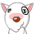ϲ